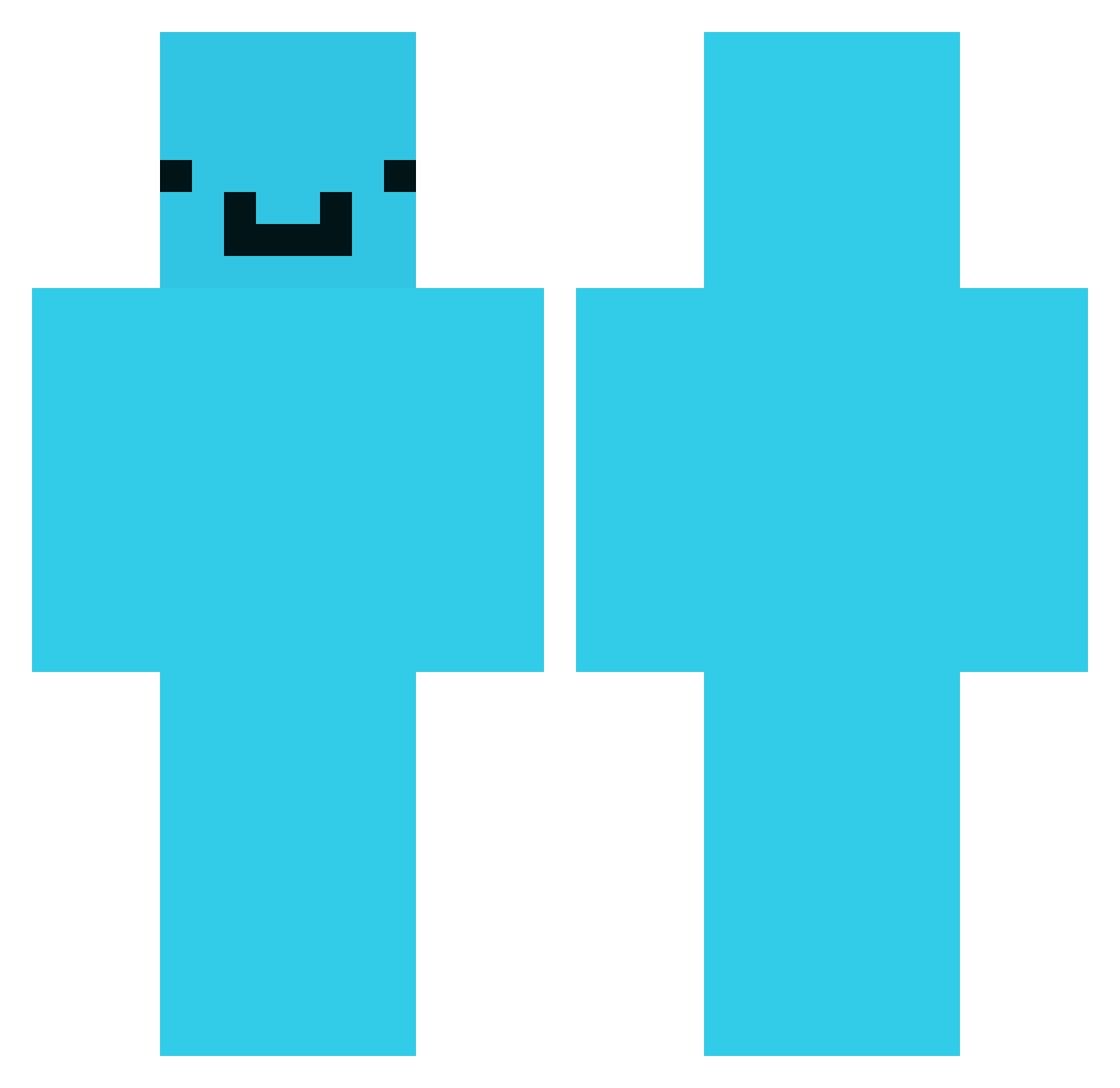 Berapa Minecraft skin, front and back view