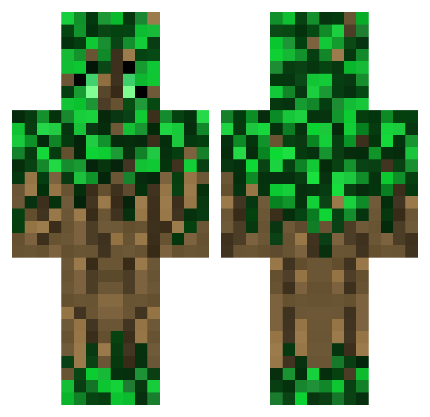 yPietroBr Minecraft skin, front and back view