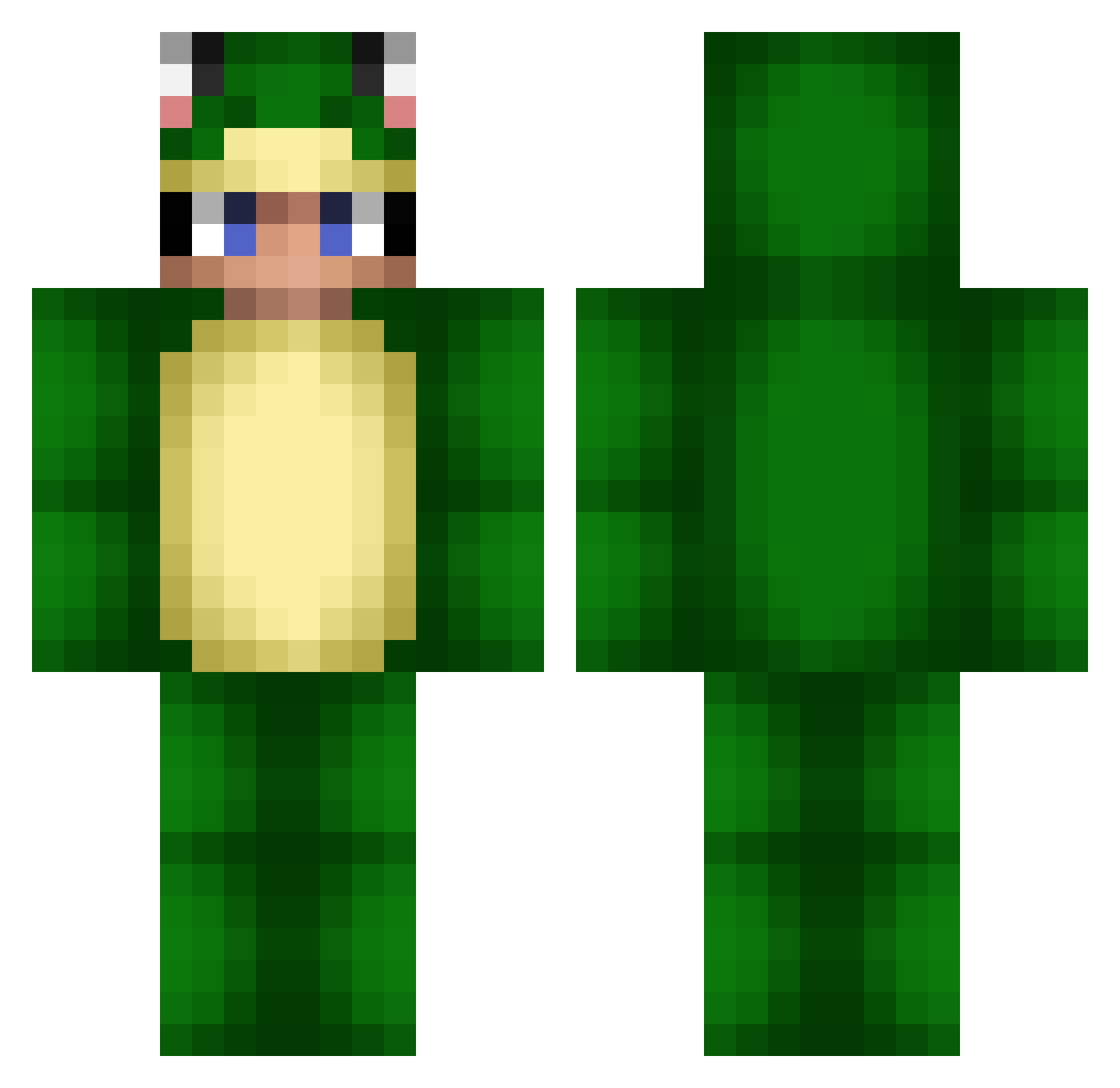 nlra Minecraft skin, front and back view