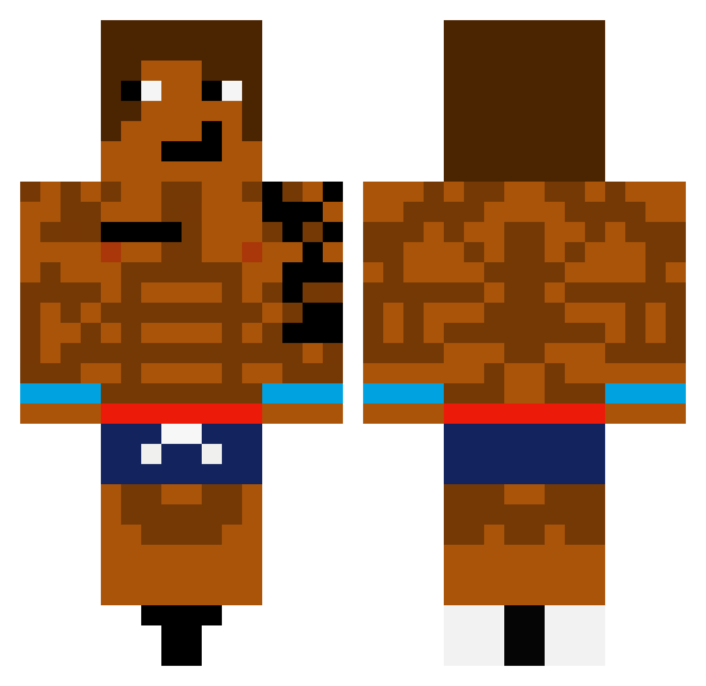 Raccoonlover43 Minecraft skin, front and back view
