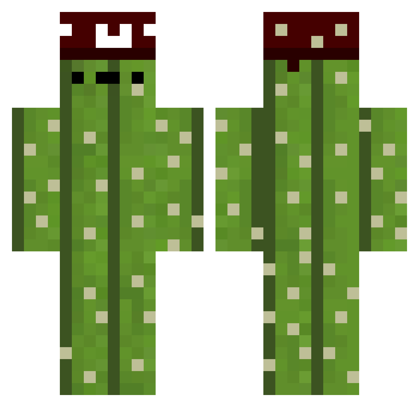 Pepe_HH Minecraft skin, front and back view