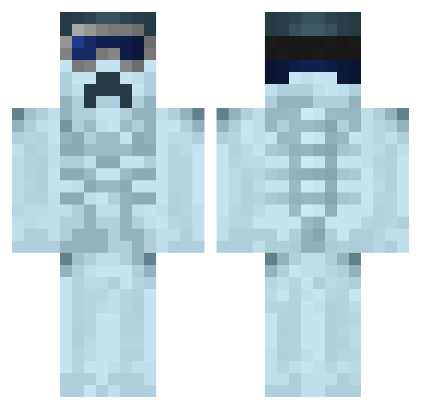 Fllir Minecraft skin, front and back view