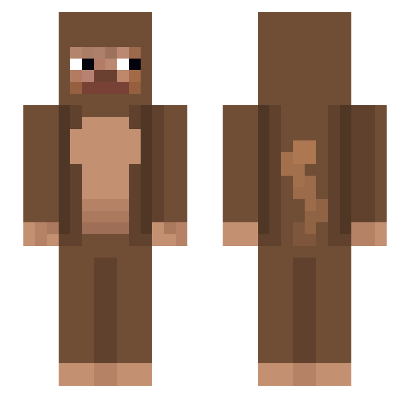 zFVR Minecraft skin, front and back view