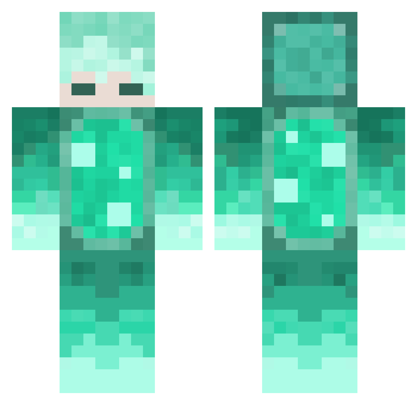 Tappa___ Minecraft skin, front and back view