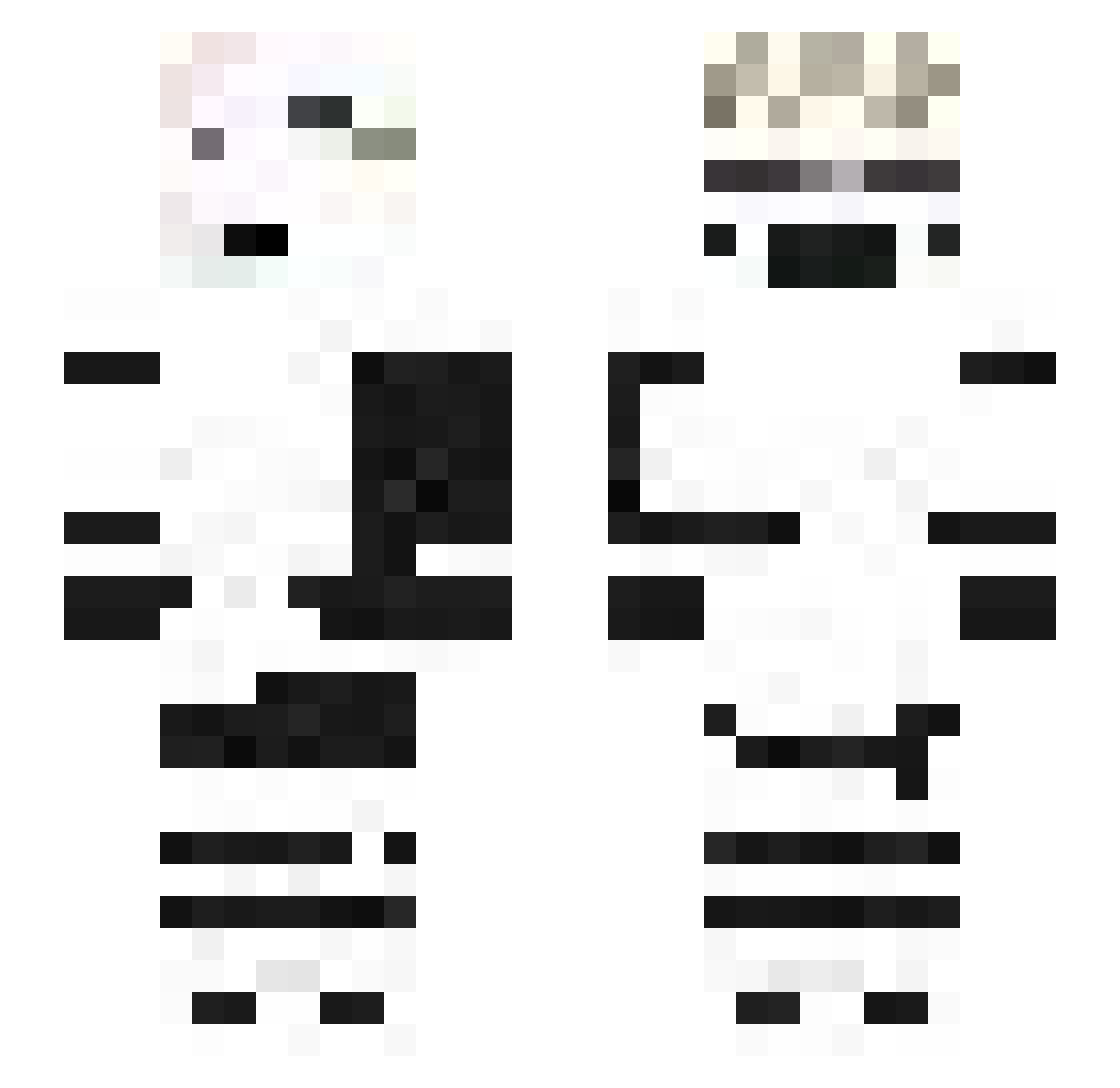 v_1n Minecraft skin, front and back view