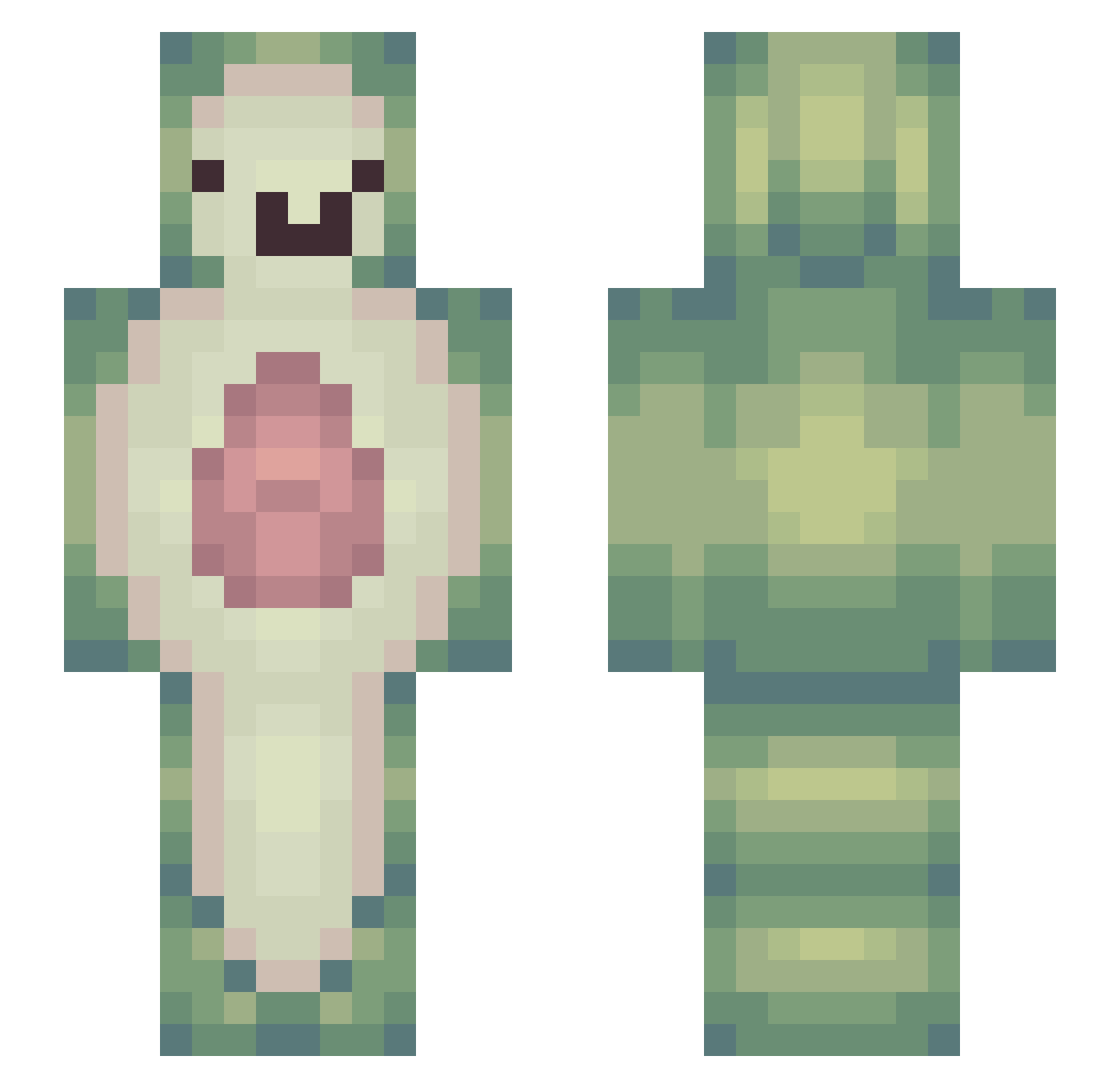 xapkkapx Minecraft skin, front and back view