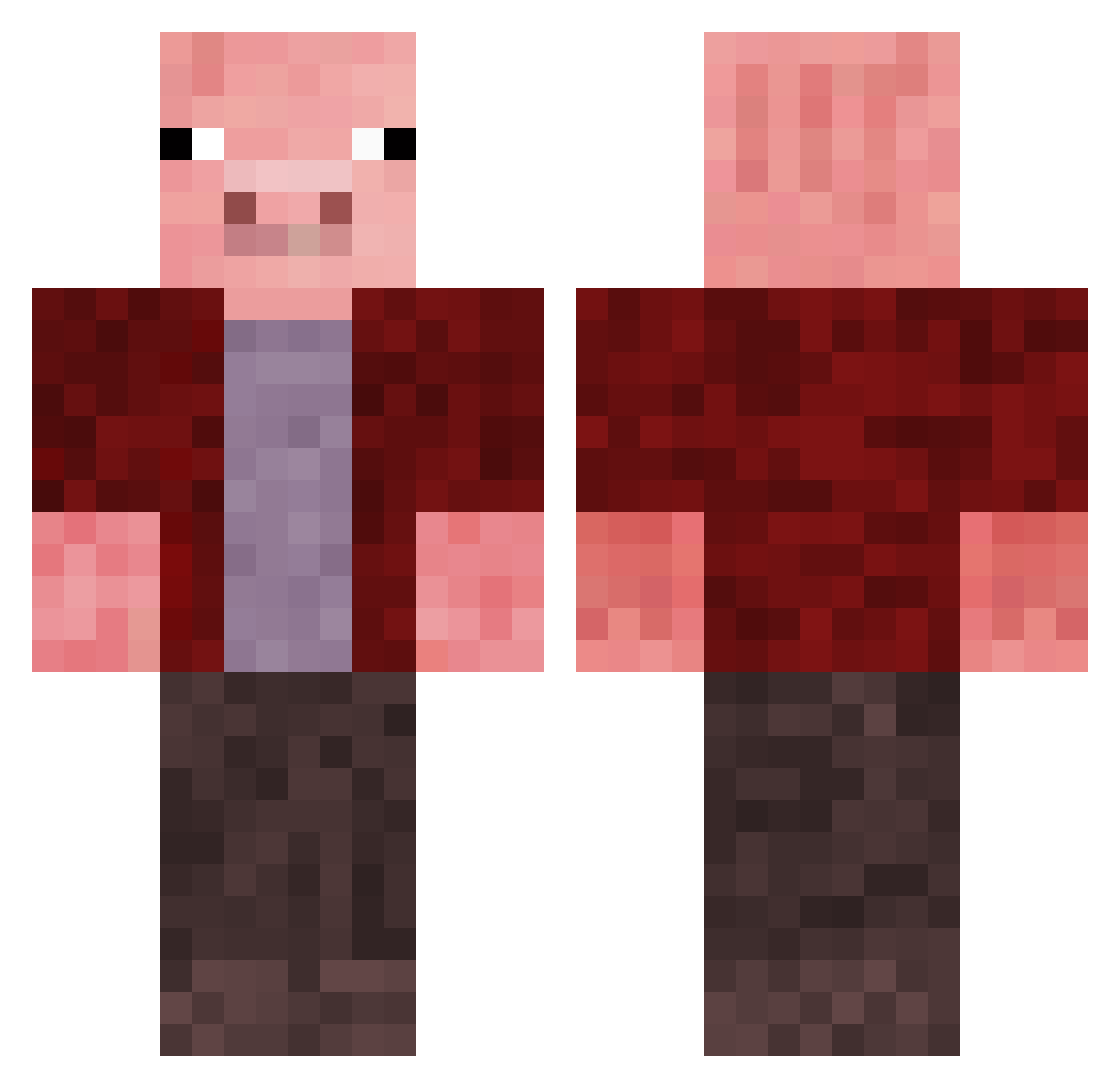Teddy_Nator Minecraft skin, front and back view