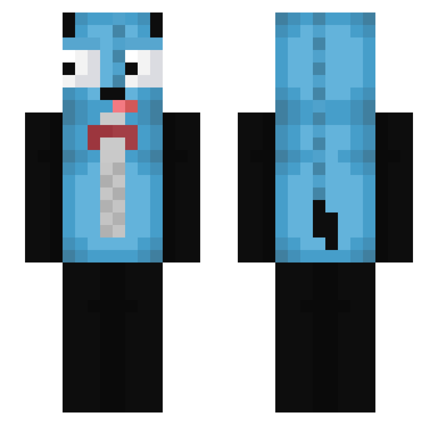 pettodelpollo Minecraft skin, front and back view