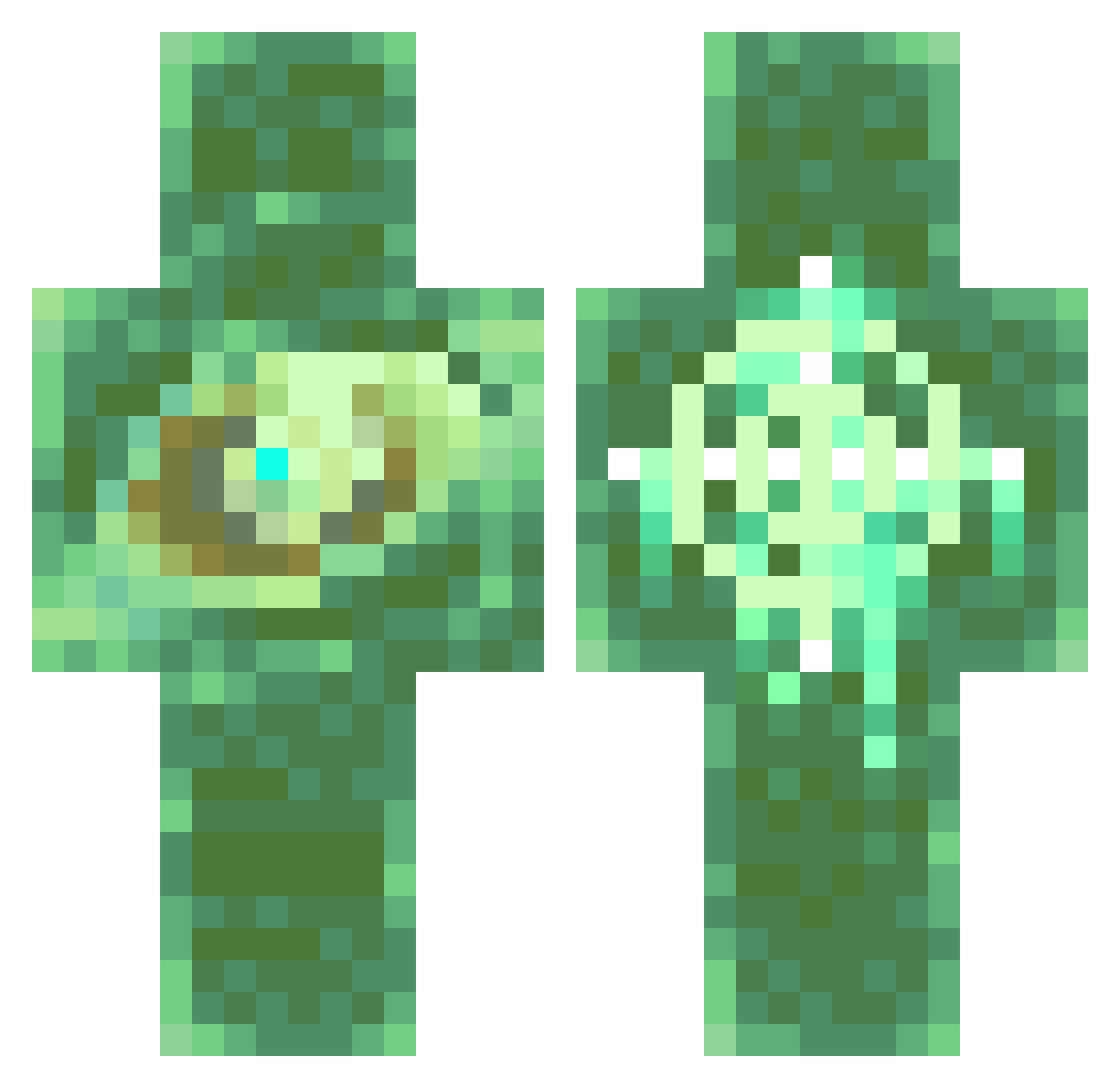 Rozpiesczenie_ Minecraft skin, front and back view