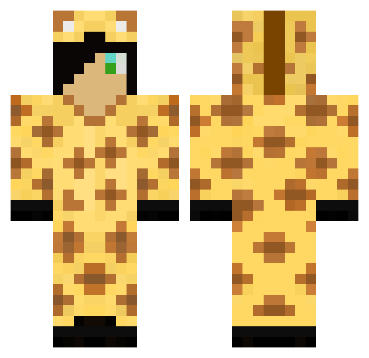 Demoting Minecraft skin, front and back view
