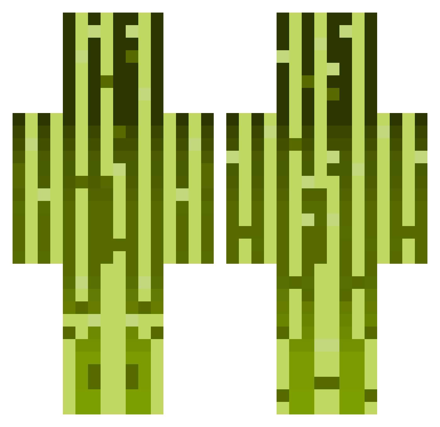 _MrPickle Minecraft skin, front and back view