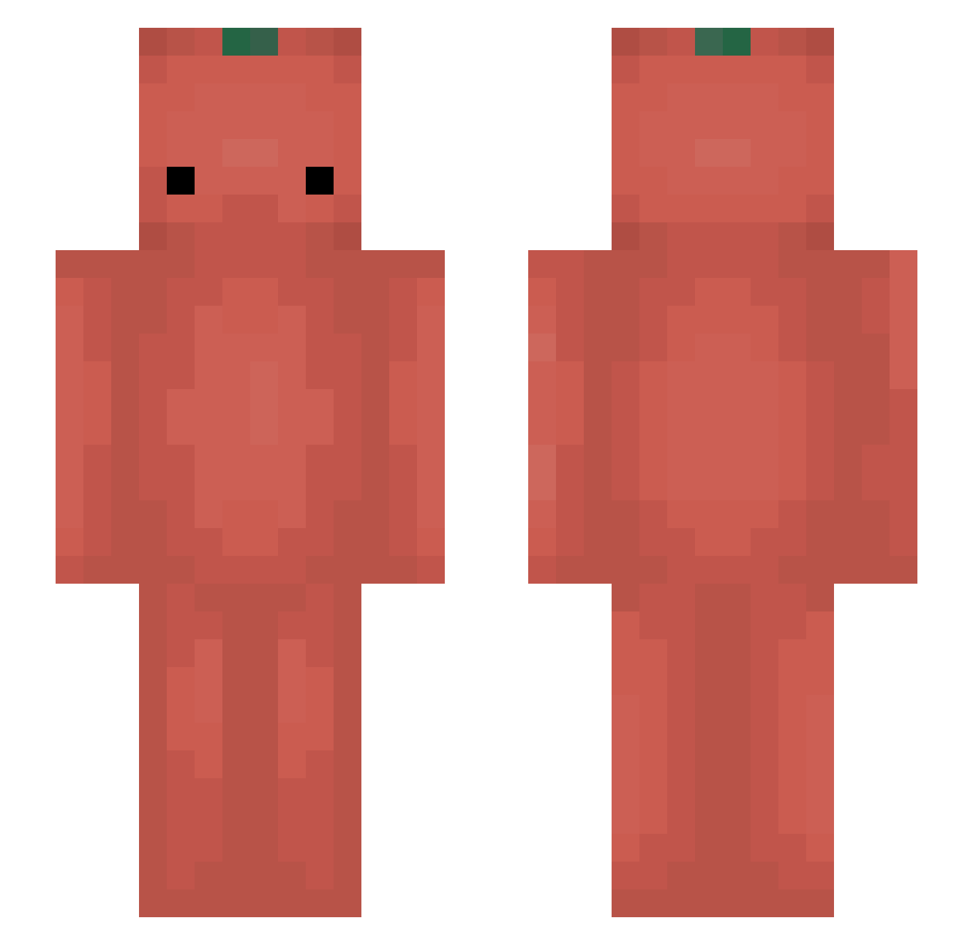 Chuxxsl Minecraft skin, front and back view