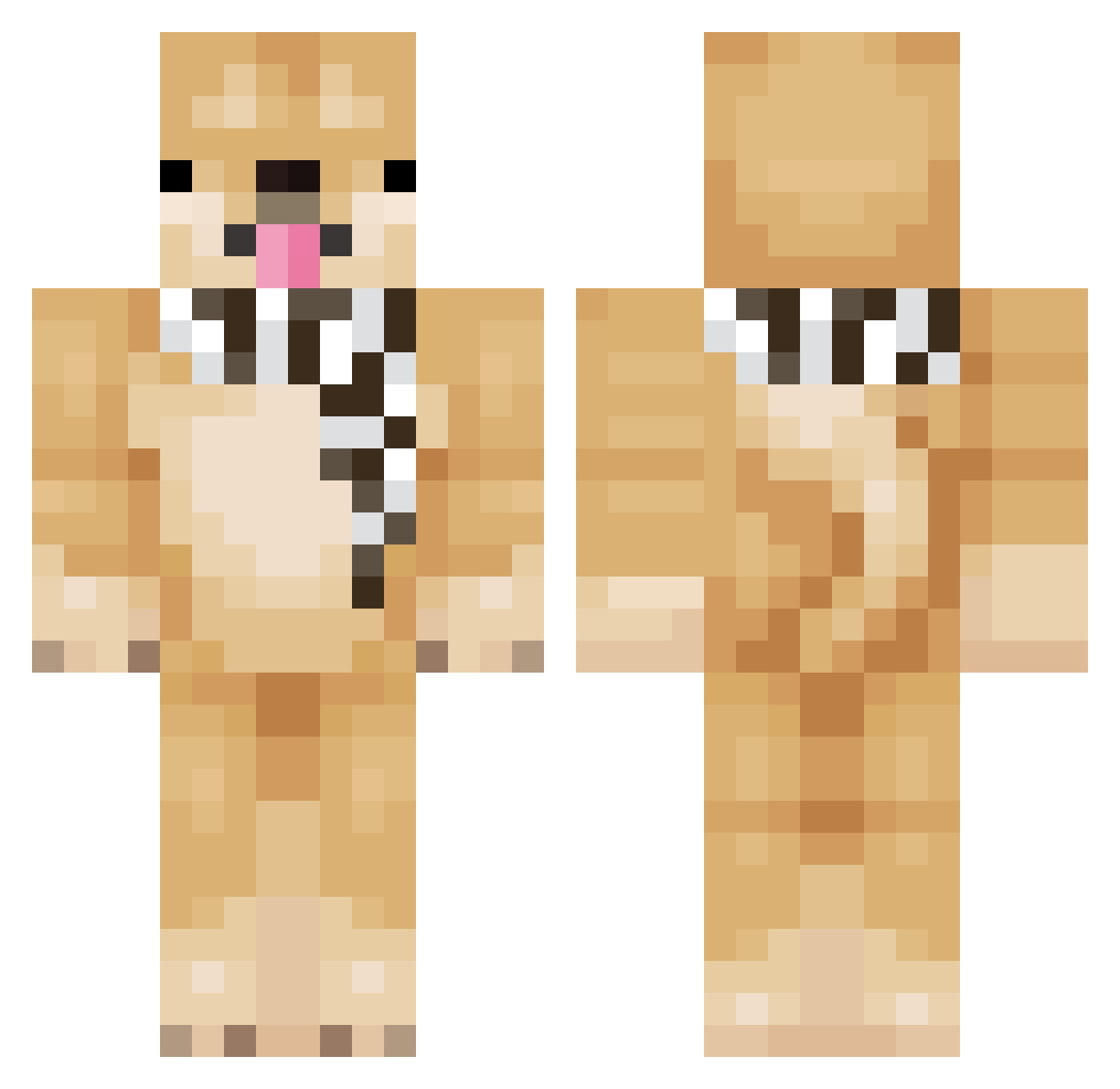 Dryeden Minecraft skin, front and back view
