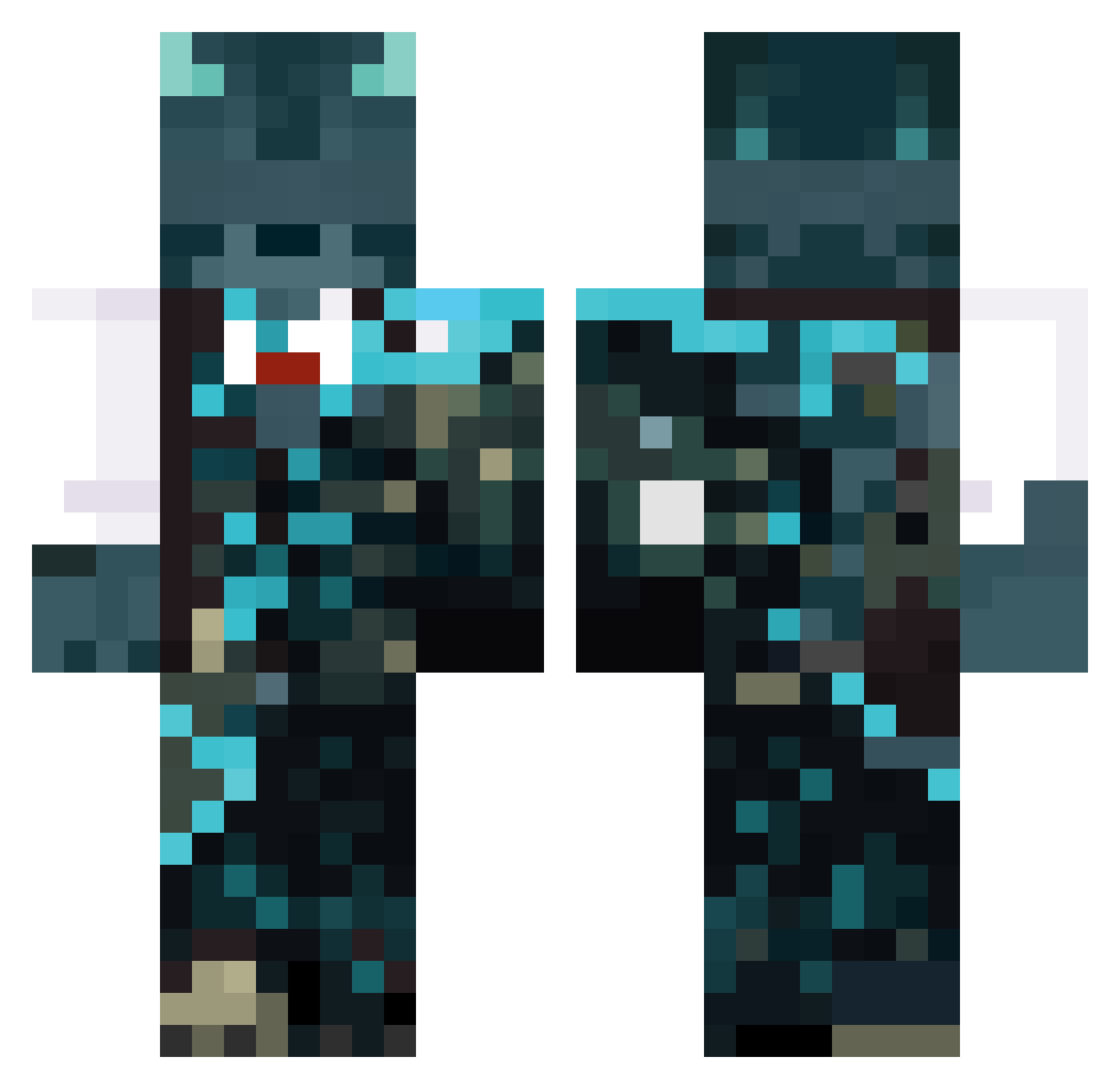 ThatFunnyRaccoon Minecraft skin, front and back view