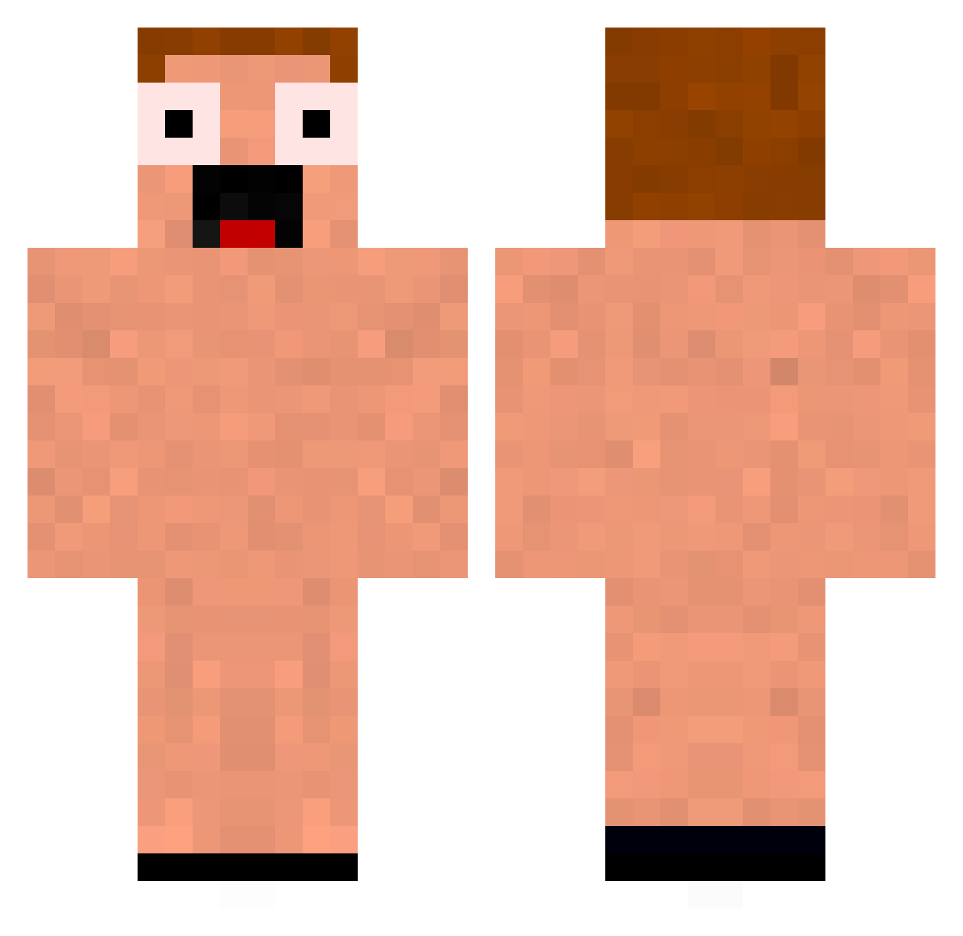 xWonkster Minecraft skin, front and back view