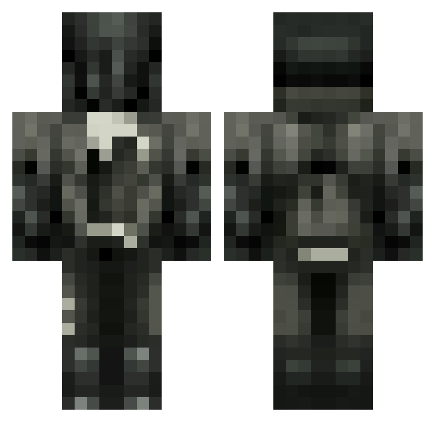 pvzz1e Minecraft skin, front and back view