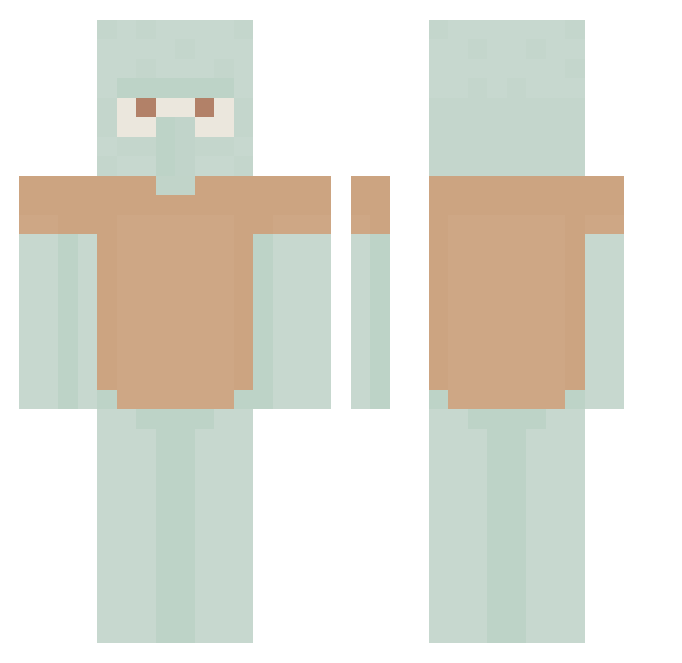 Blaeku Minecraft skin, front and back view