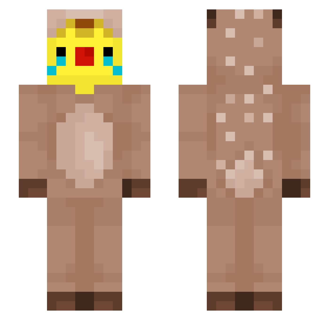 flappy144 Minecraft skin, front and back view