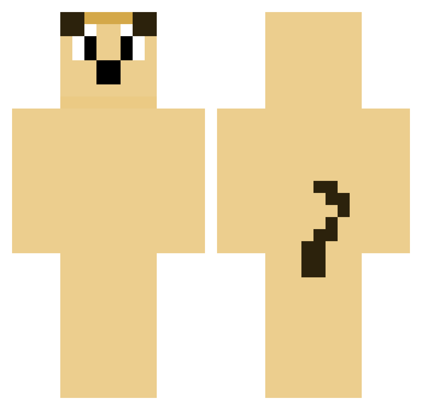 MozSwfc Minecraft skin, front and back view