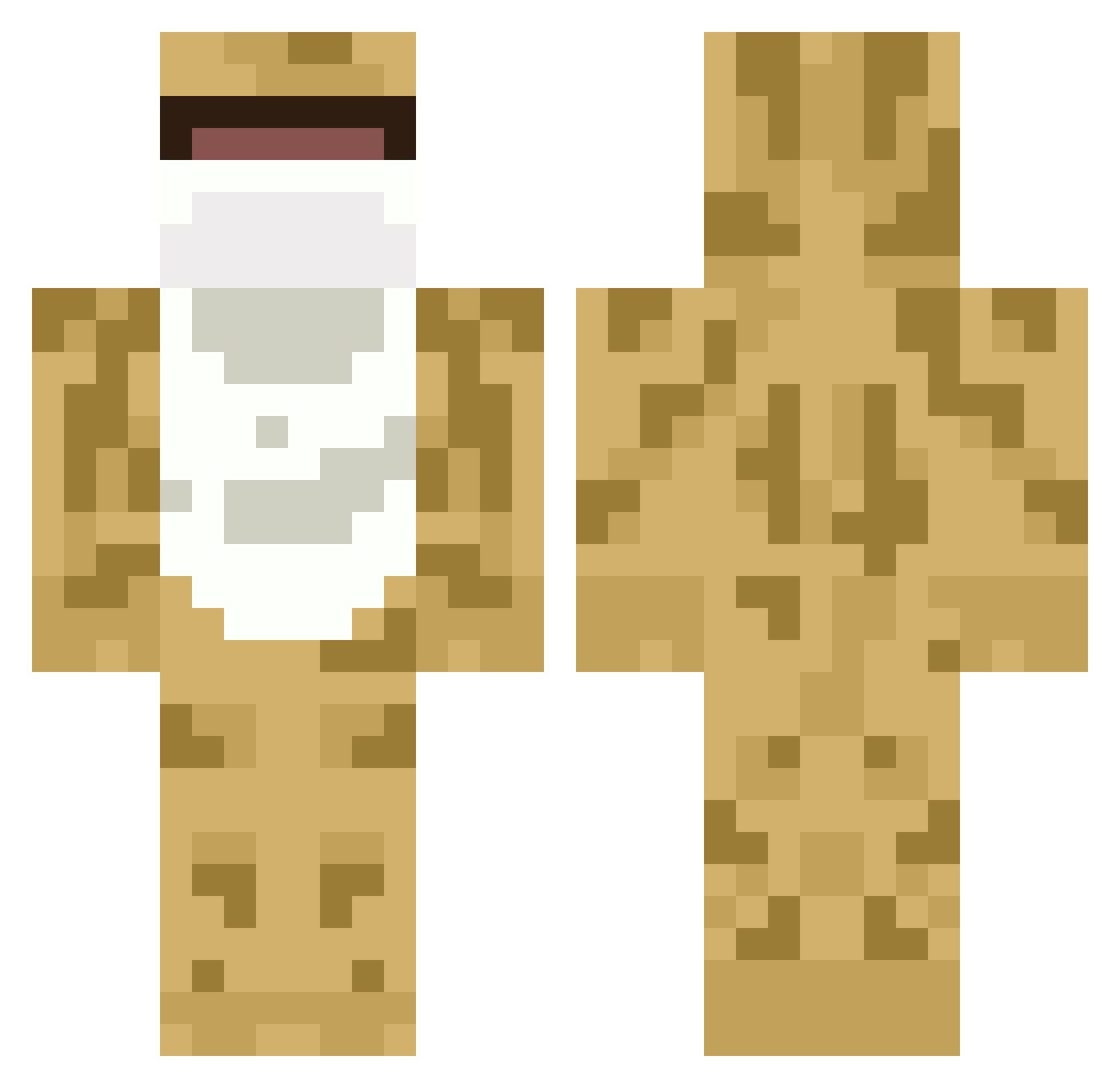 wompppy Minecraft skin, front and back view