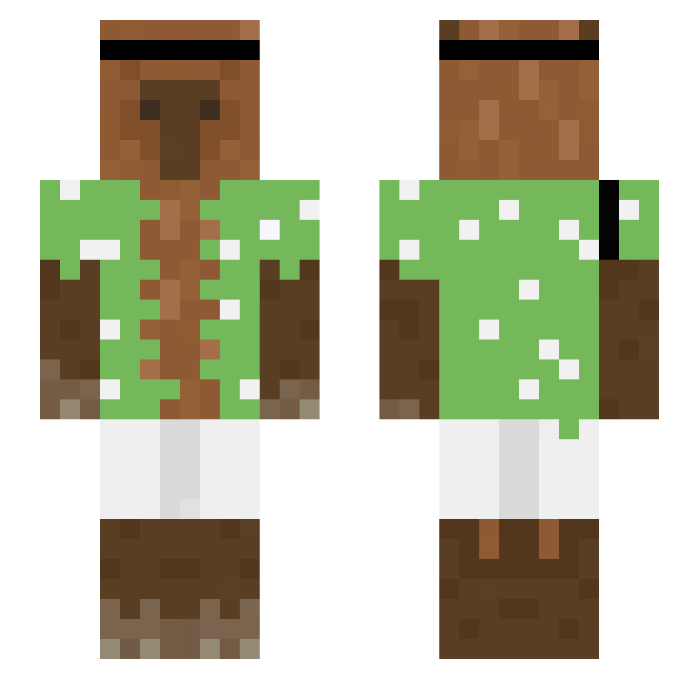 dlde12_ Minecraft skin, front and back view