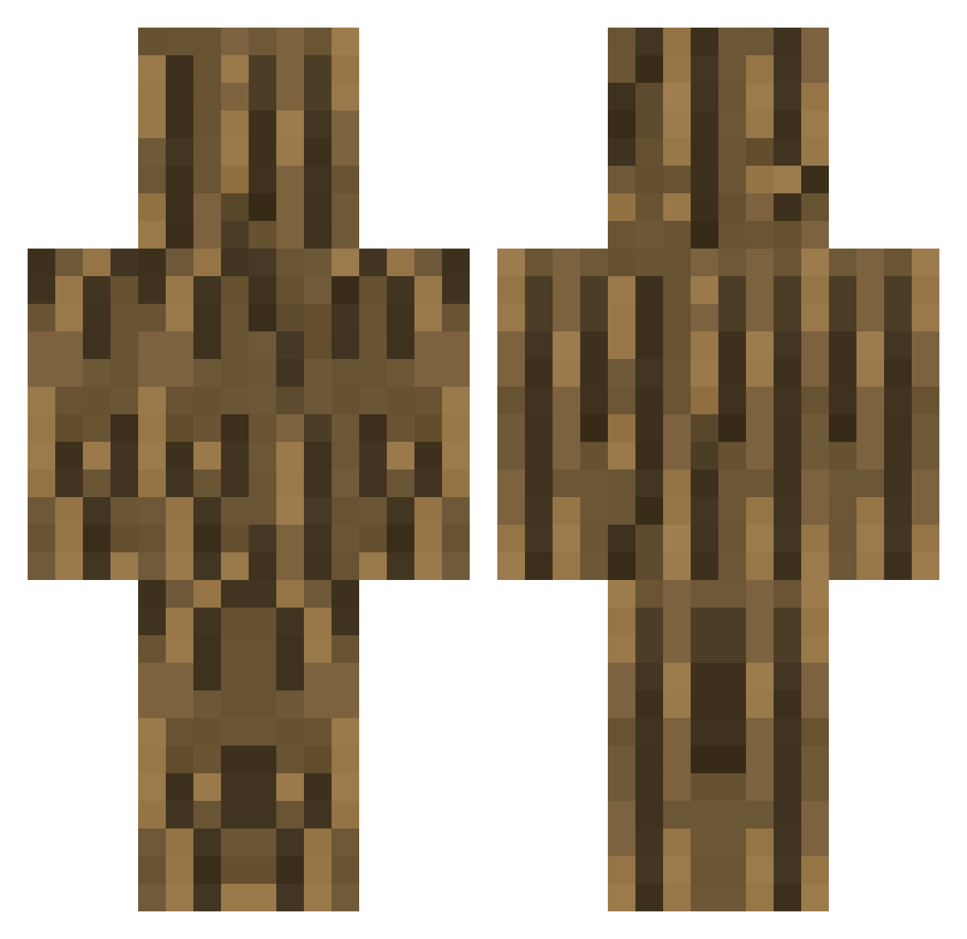 CAT_320 Minecraft skin, front and back view