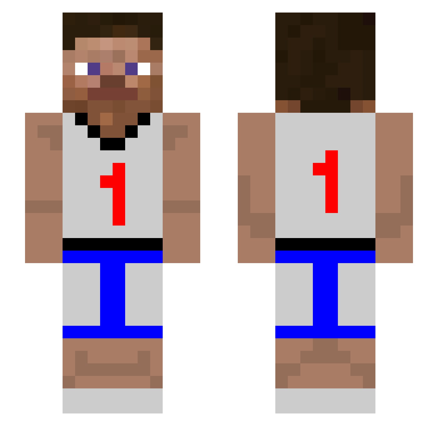 BraucheSkin Minecraft skin, front and back view