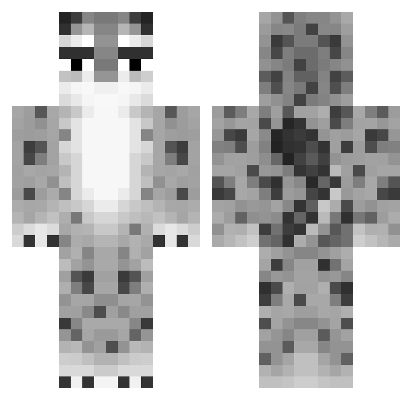 skarill Minecraft skin, front and back view