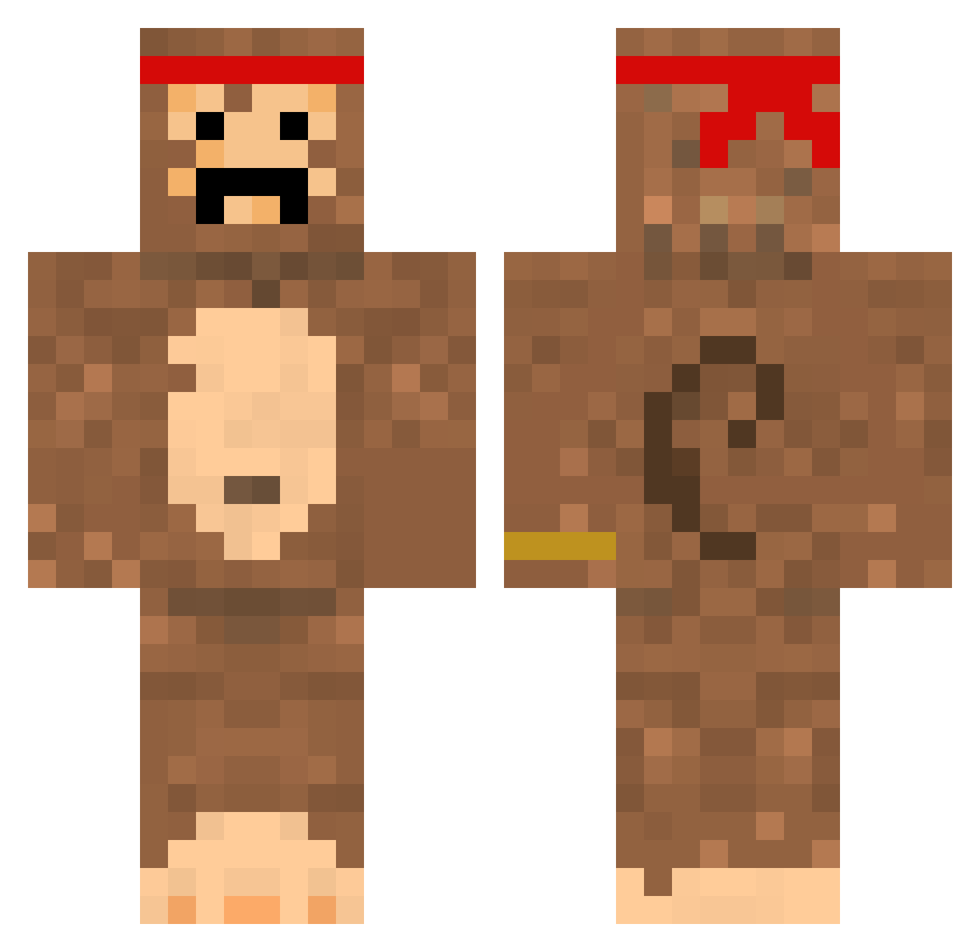 penguinclapper Minecraft skin, front and back view