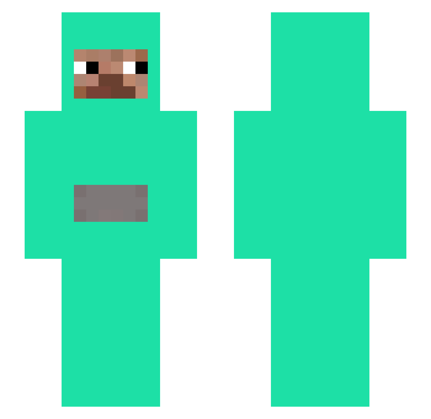 BonVolBro Minecraft skin, front and back view