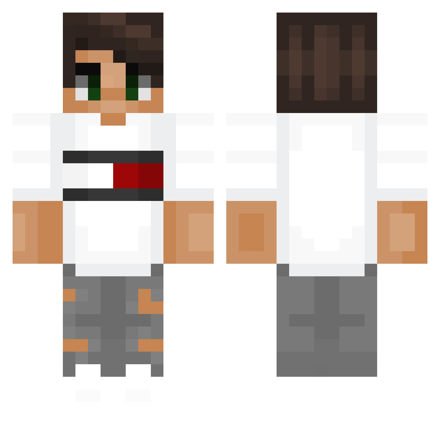 skuas Minecraft skin, front and back view