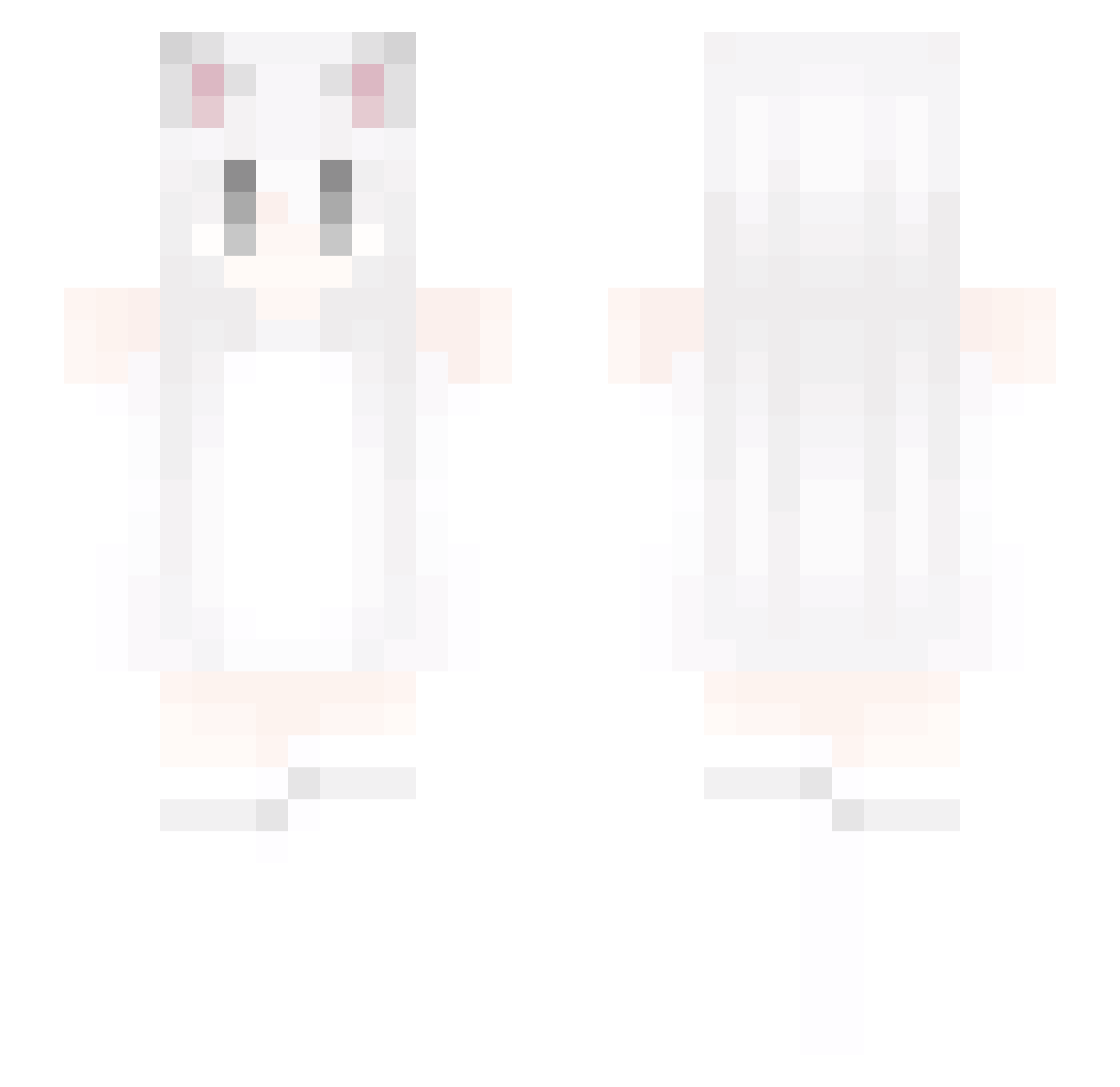 1953_ Minecraft skin, front and back view