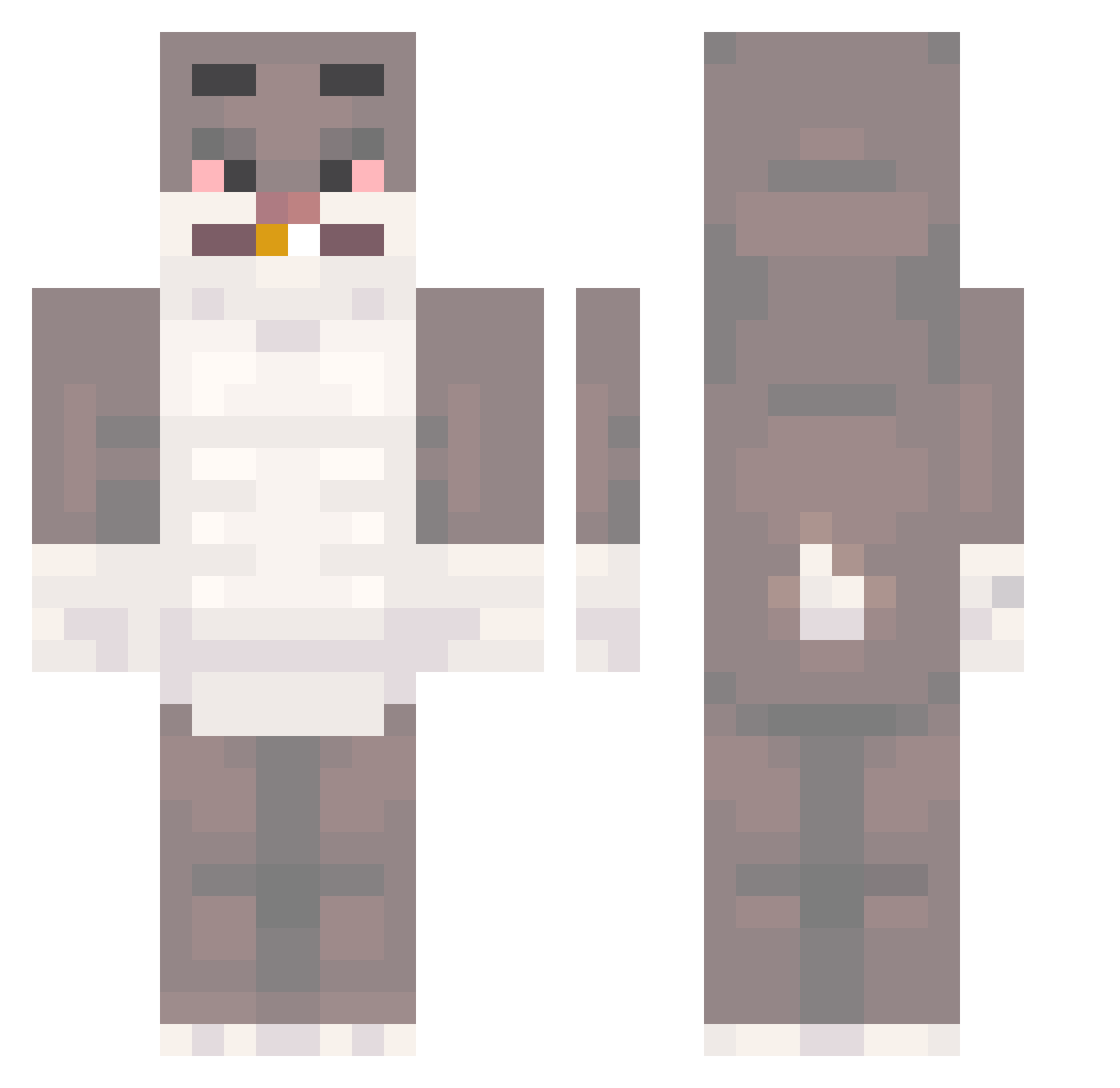 _Winnie999_ Minecraft skin, front and back view