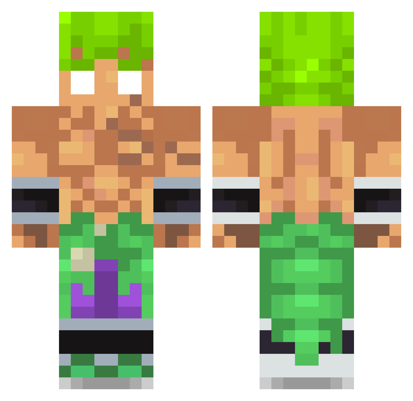 sitosterol Minecraft skin, front and back view