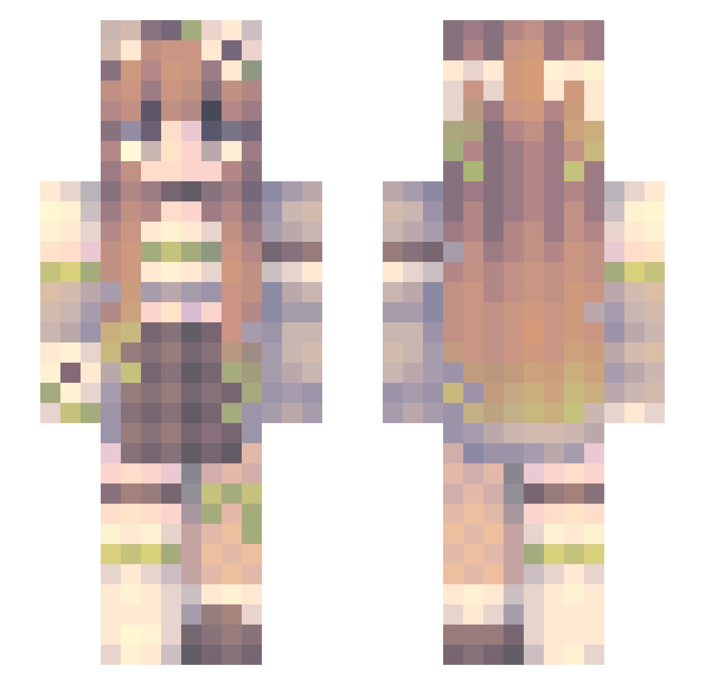 1ara__ Minecraft skin, front and back view