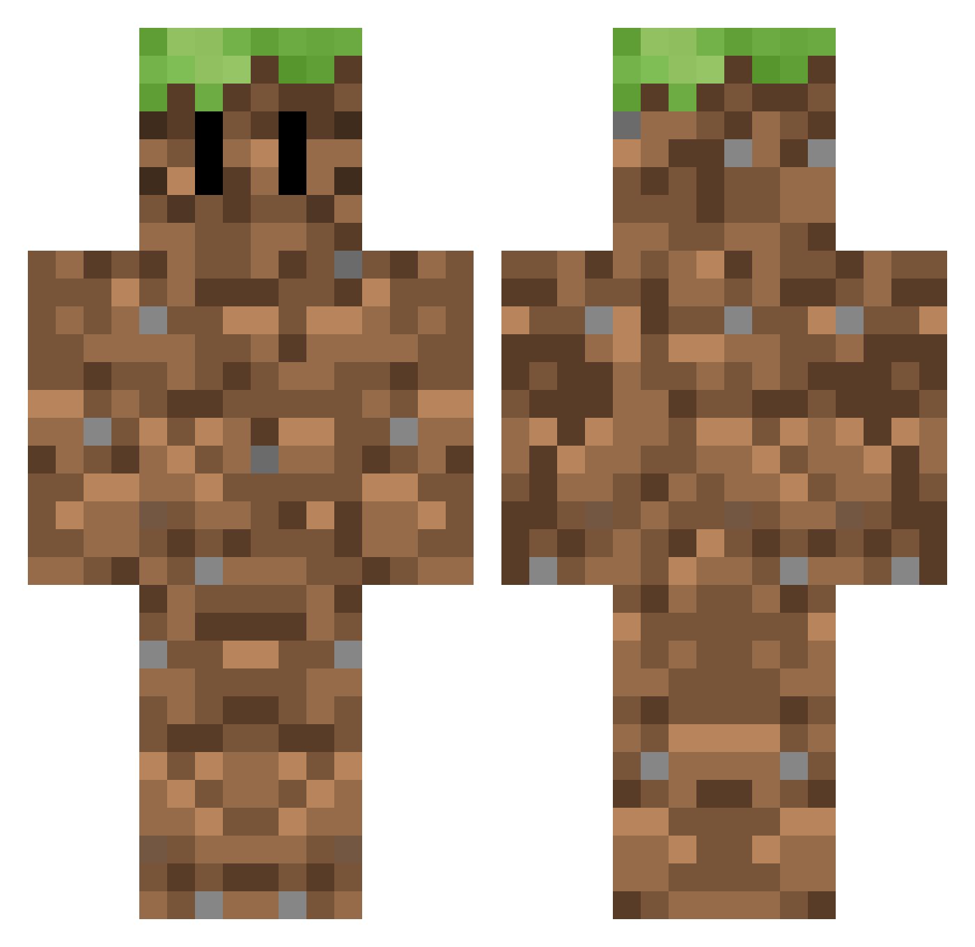 sasanii1020 Minecraft skin, front and back view