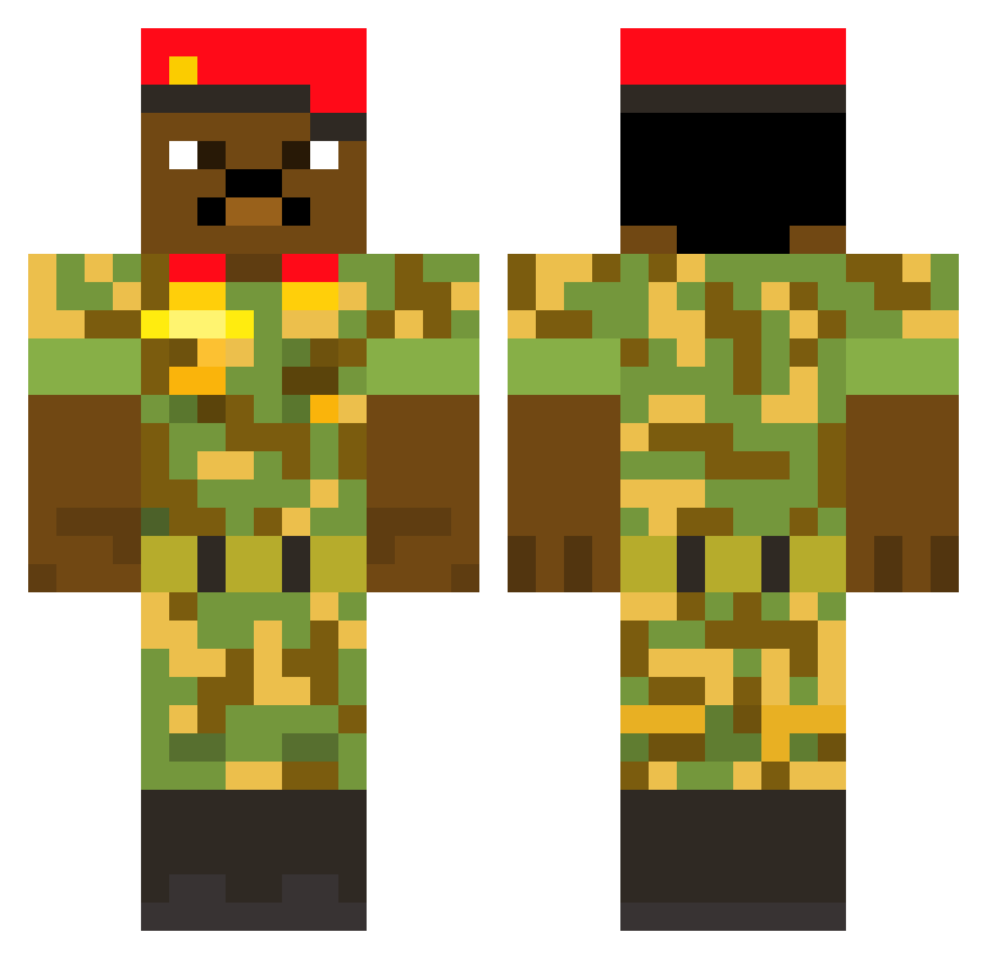 d0minicc1 Minecraft skin, front and back view