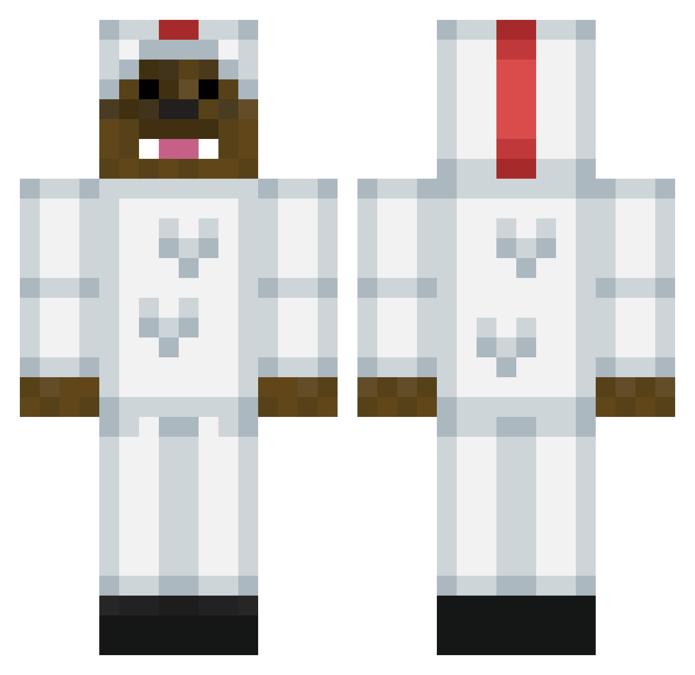 BaccaGamez Minecraft skin, front and back view