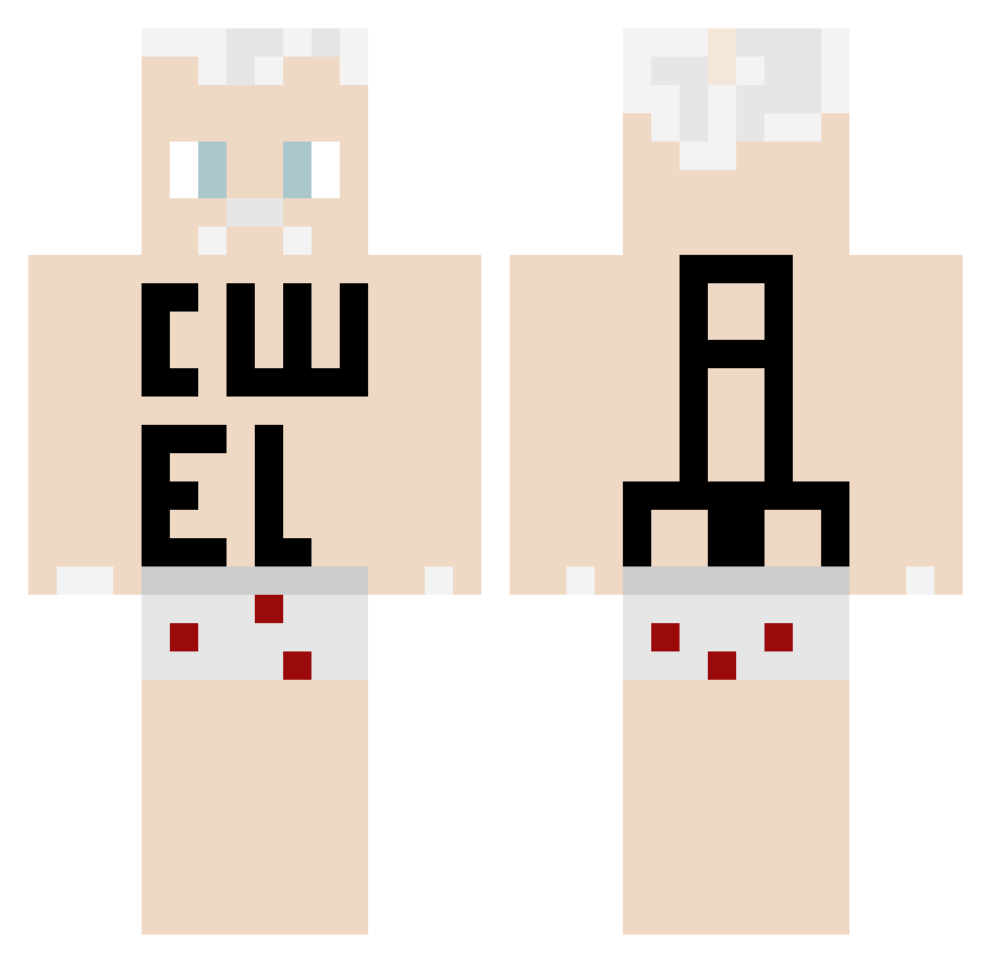 AD4S Minecraft skin, front and back view