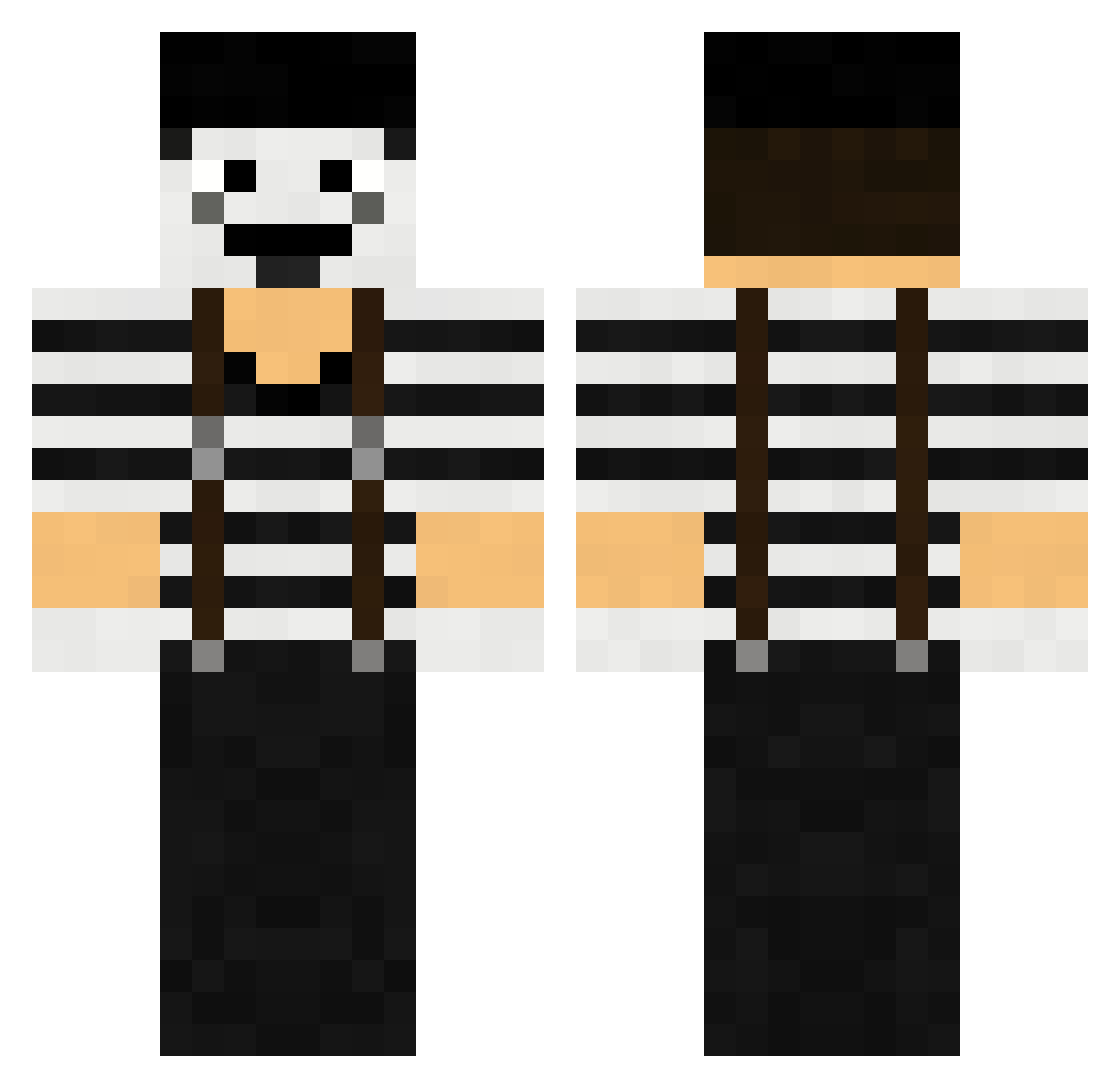 racoons Minecraft skin, front and back view