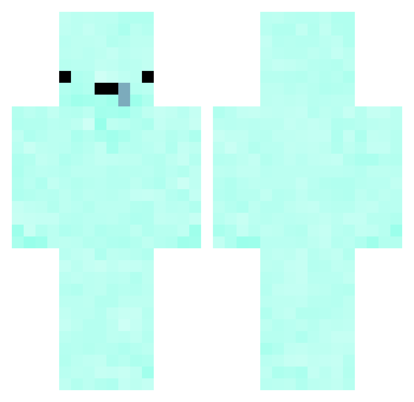 xxtuotuo Minecraft skin, front and back view