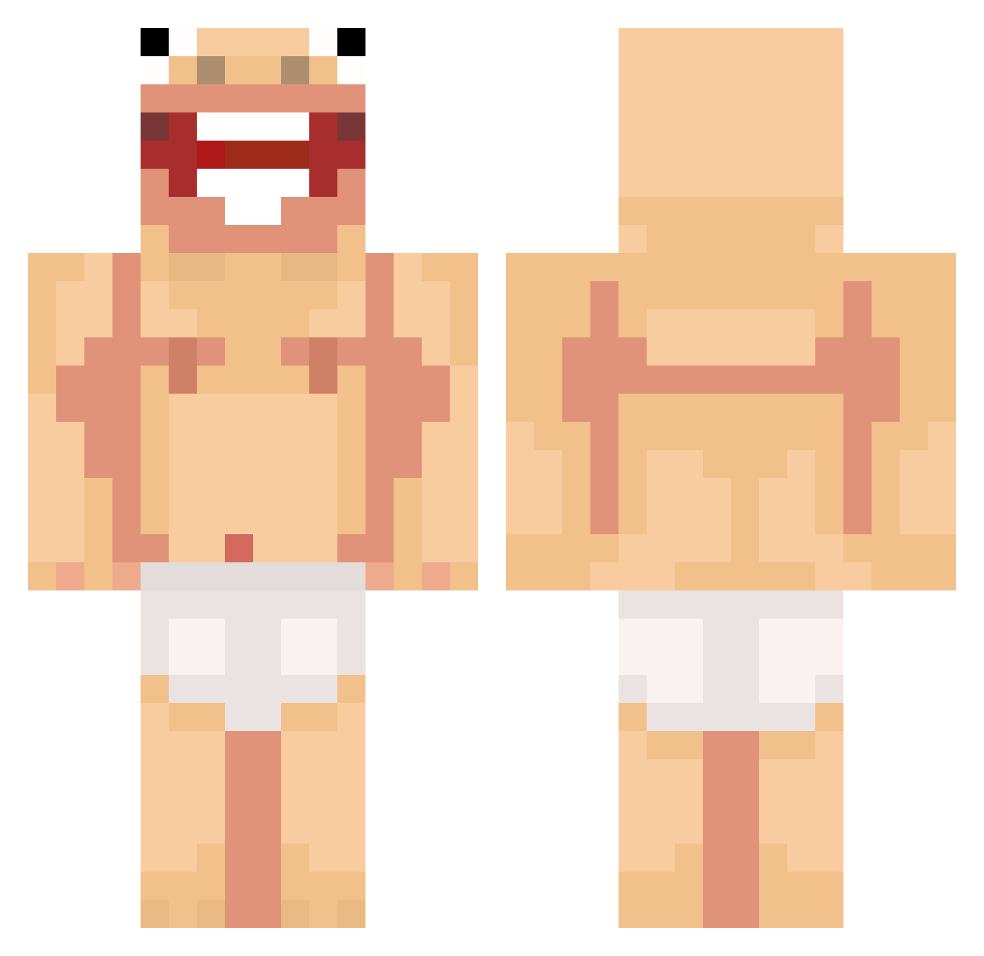 Delfotas Minecraft skin, front and back view