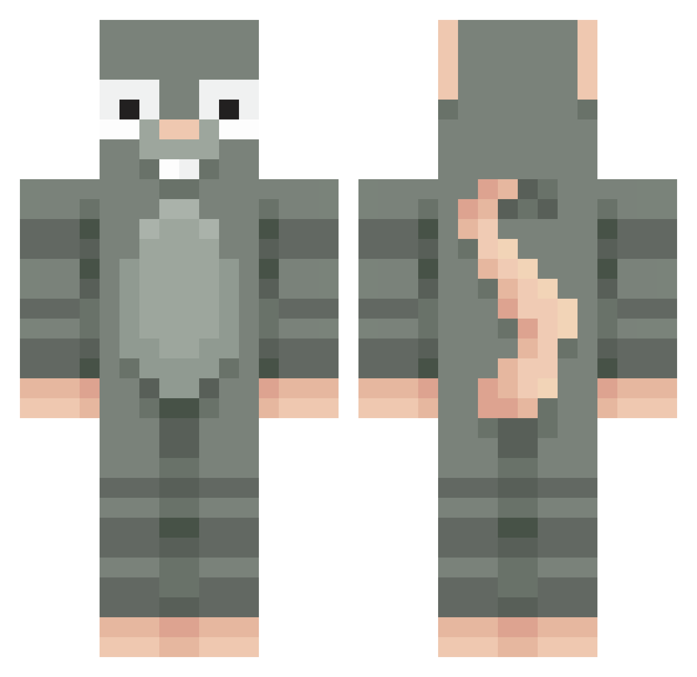 pichogg Minecraft skin, front and back view