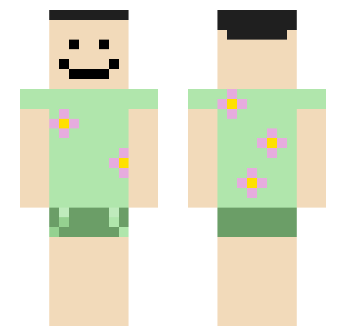 C10H14NO Minecraft skin, front and back view