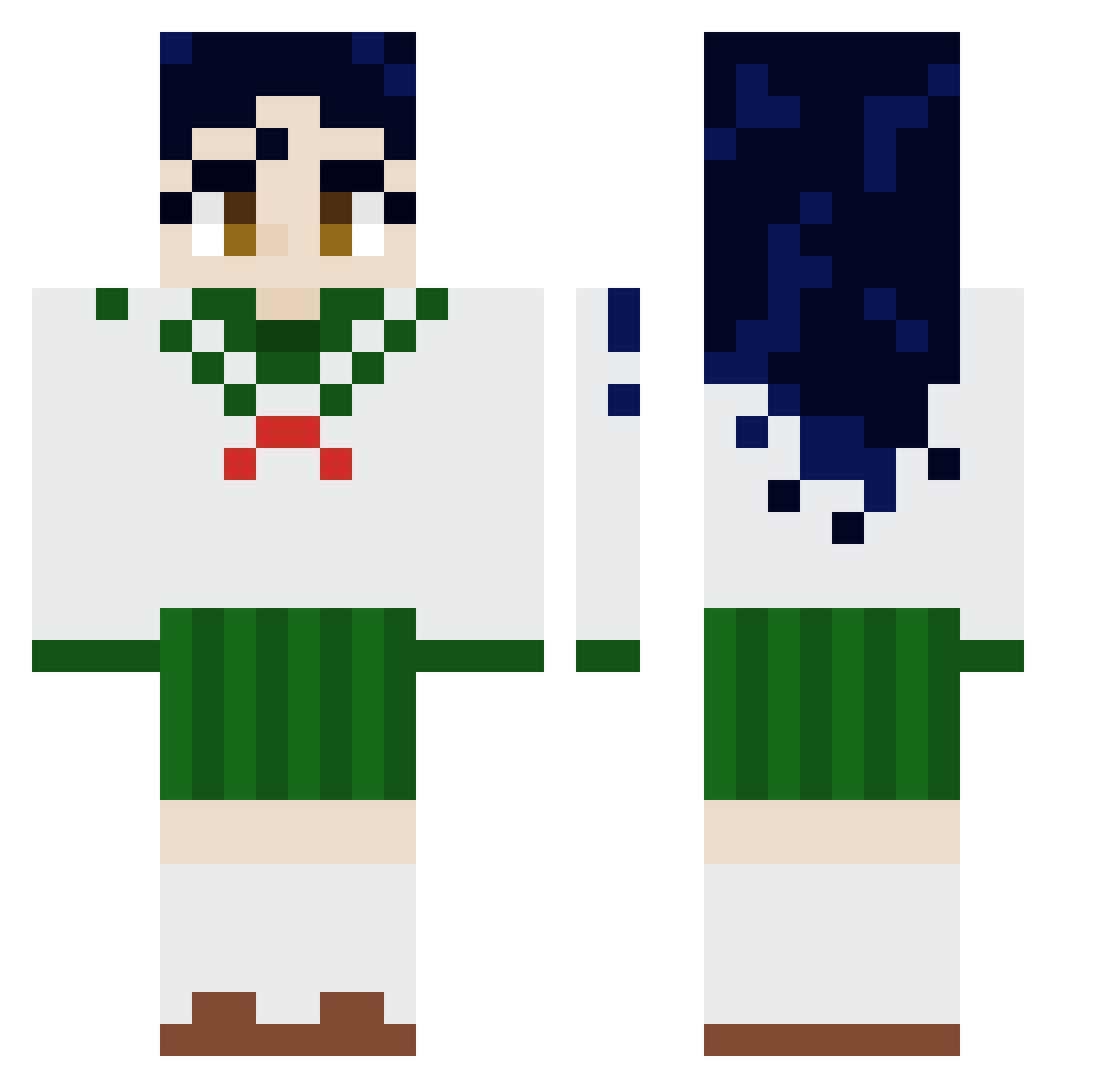 SirDenafil Minecraft skin, front and back view