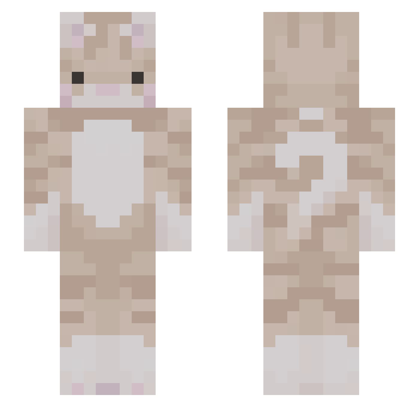 Laneyw Minecraft skin, front and back view