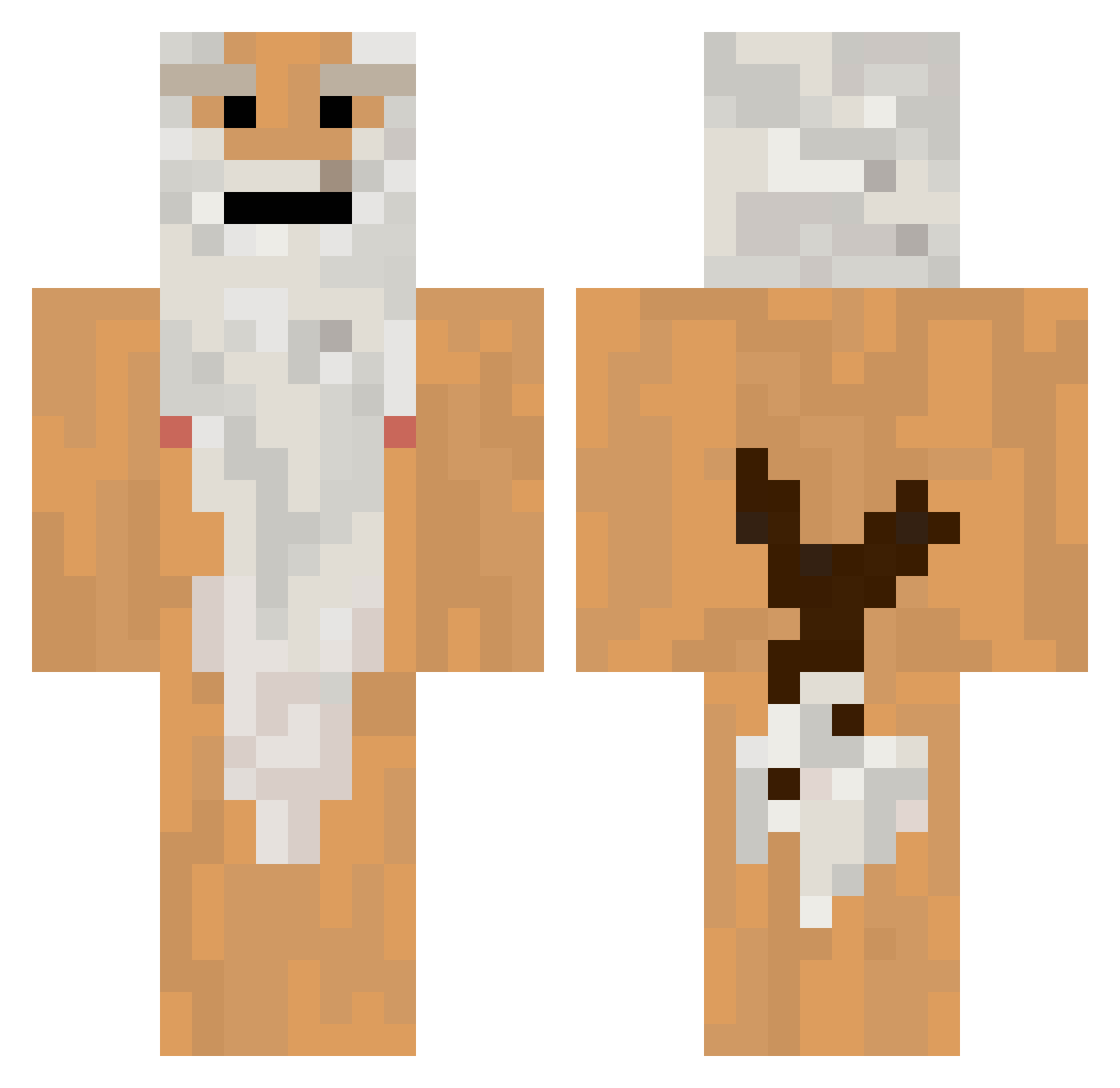 diddeldaddel Minecraft skin, front and back view