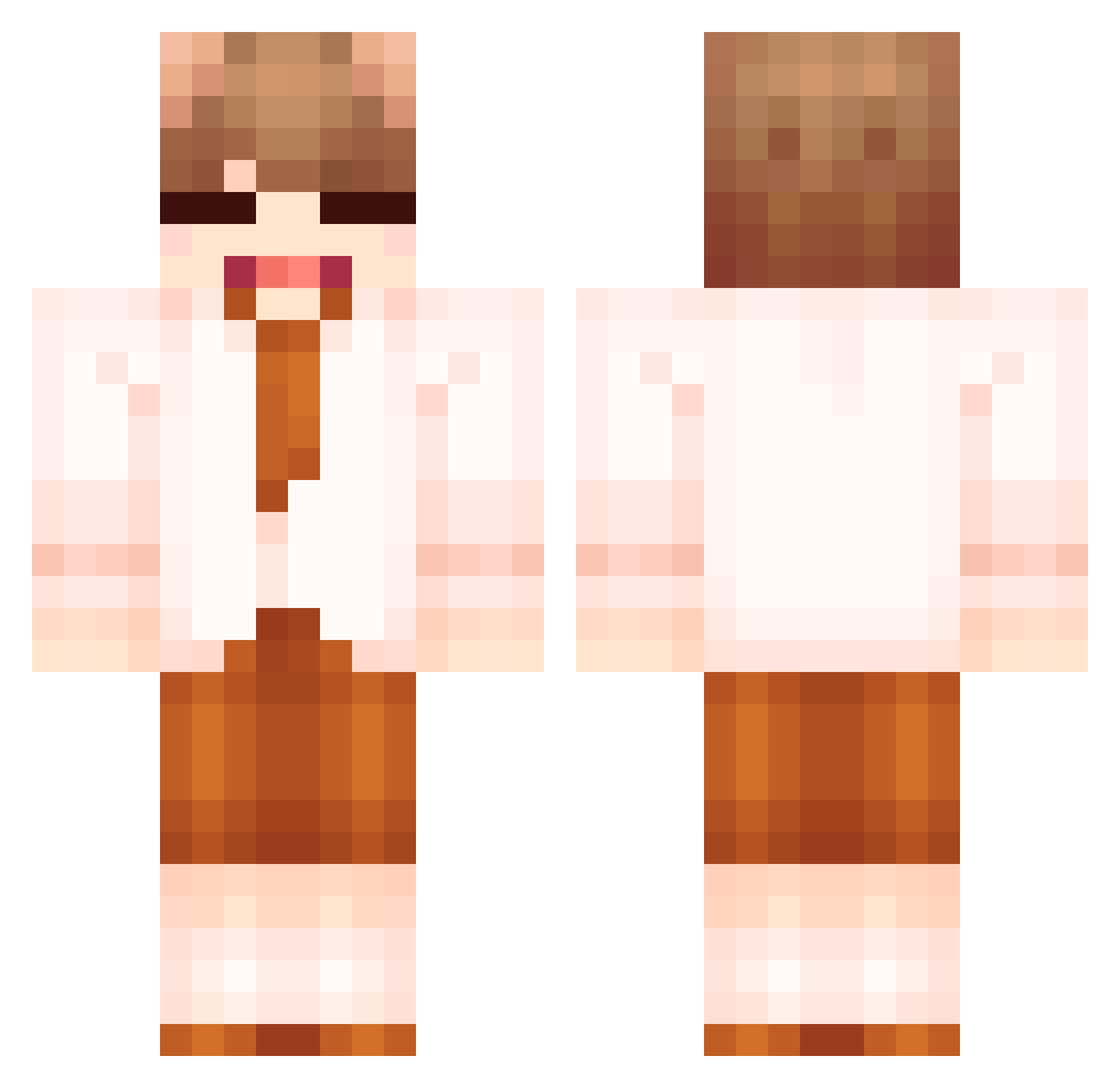 wjdwldh418 Minecraft skin, front and back view