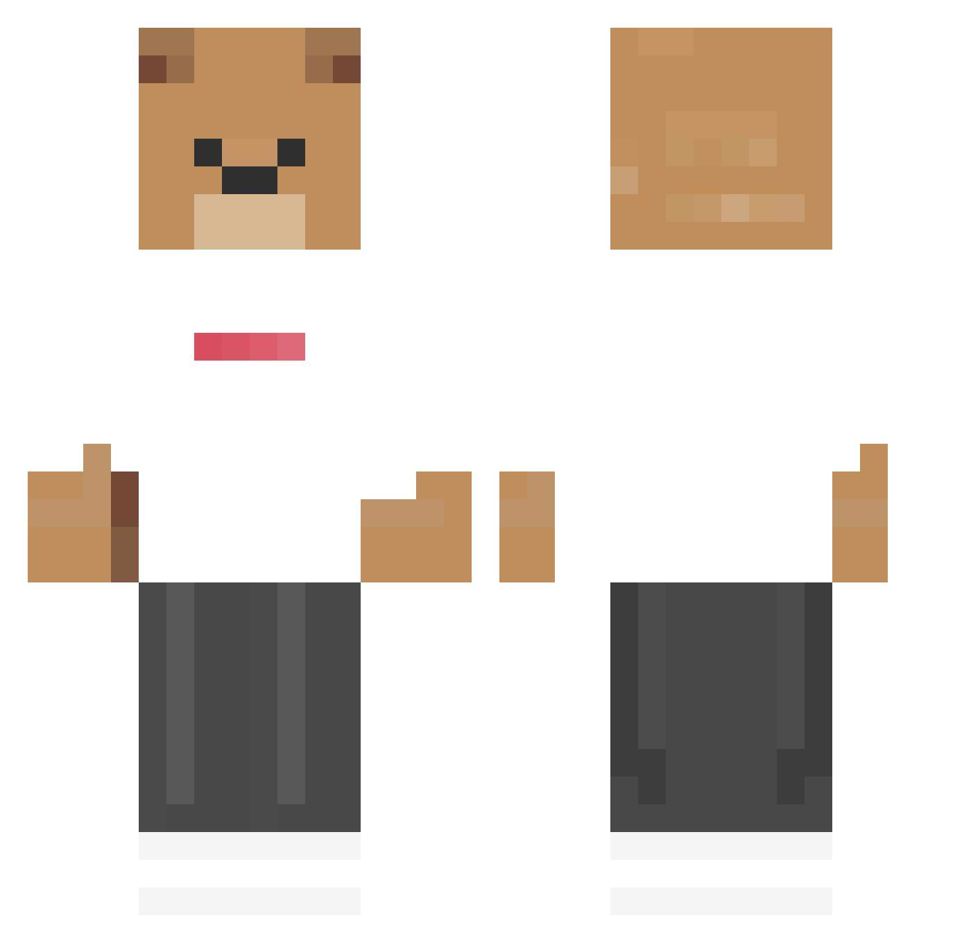 LIENDERR Minecraft skin, front and back view