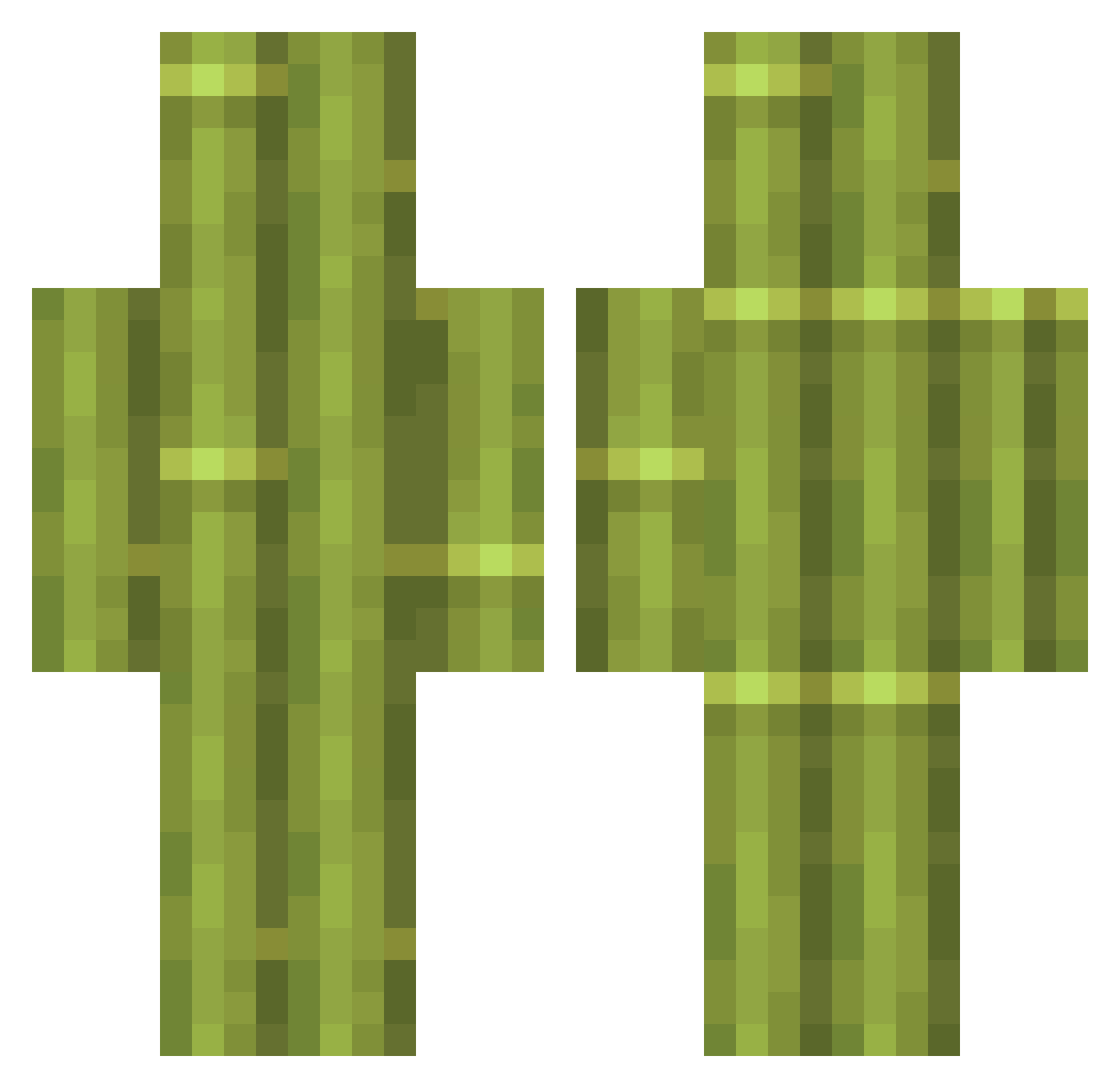 Xanior Minecraft skin, front and back view